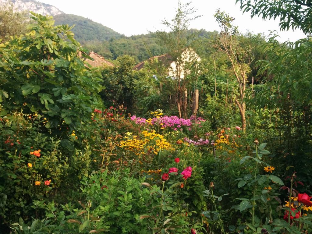 Pension Casa Anadam Băile Herculane المظهر الخارجي الصورة