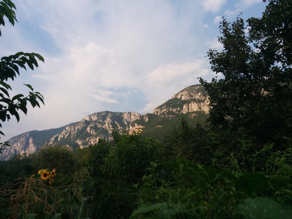 Pension Casa Anadam Băile Herculane المظهر الخارجي الصورة