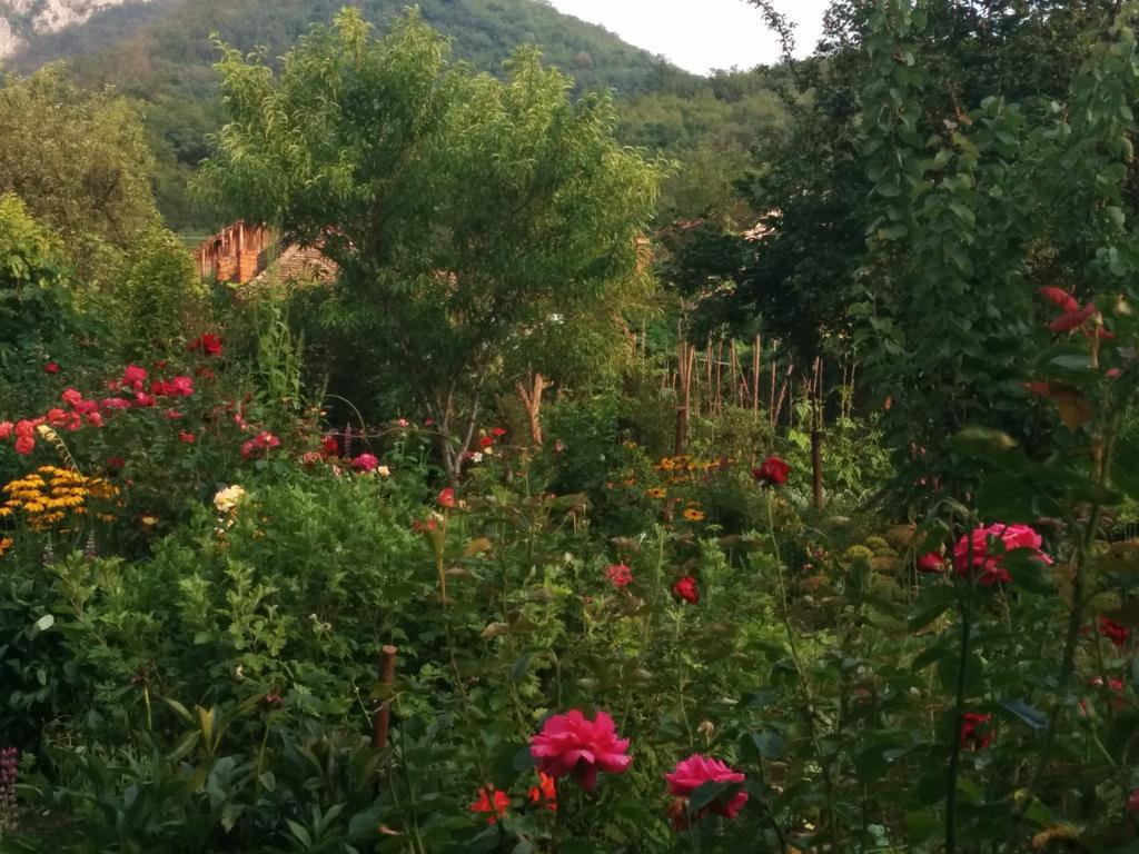 Pension Casa Anadam Băile Herculane المظهر الخارجي الصورة