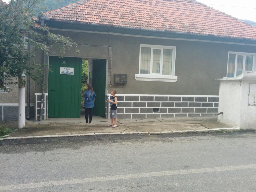Pension Casa Anadam Băile Herculane المظهر الخارجي الصورة