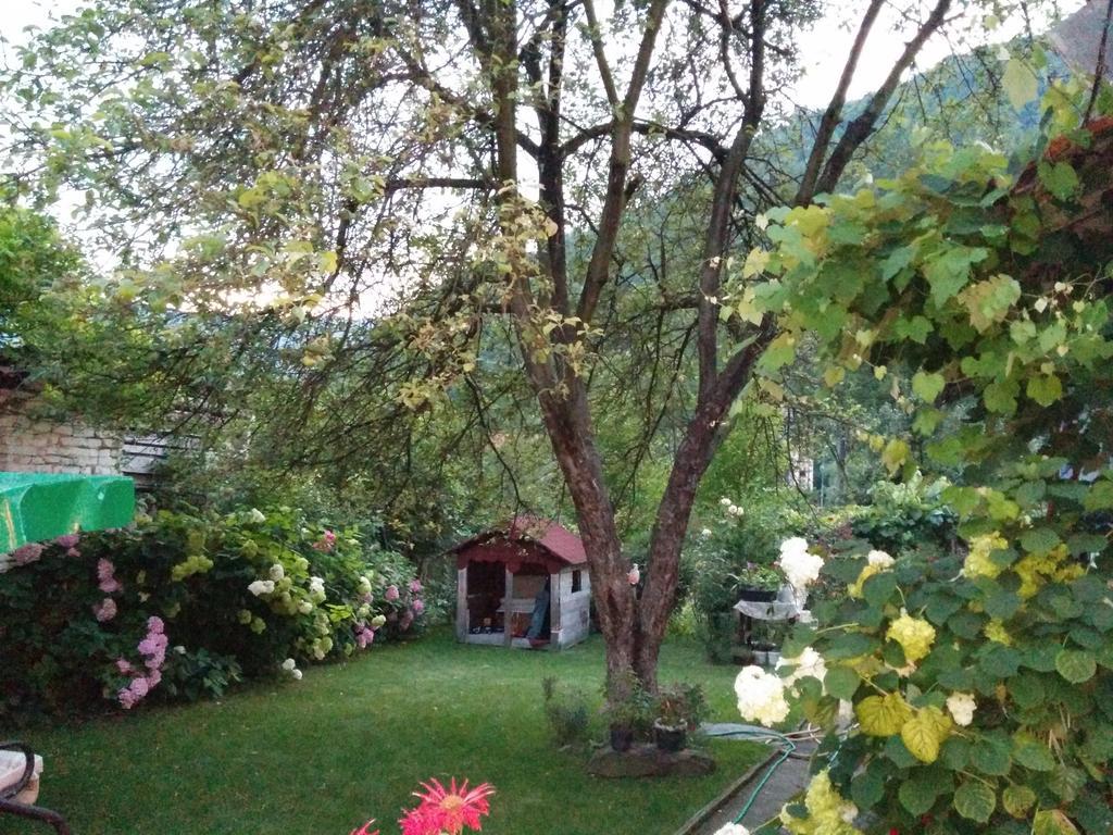 Pension Casa Anadam Băile Herculane المظهر الخارجي الصورة