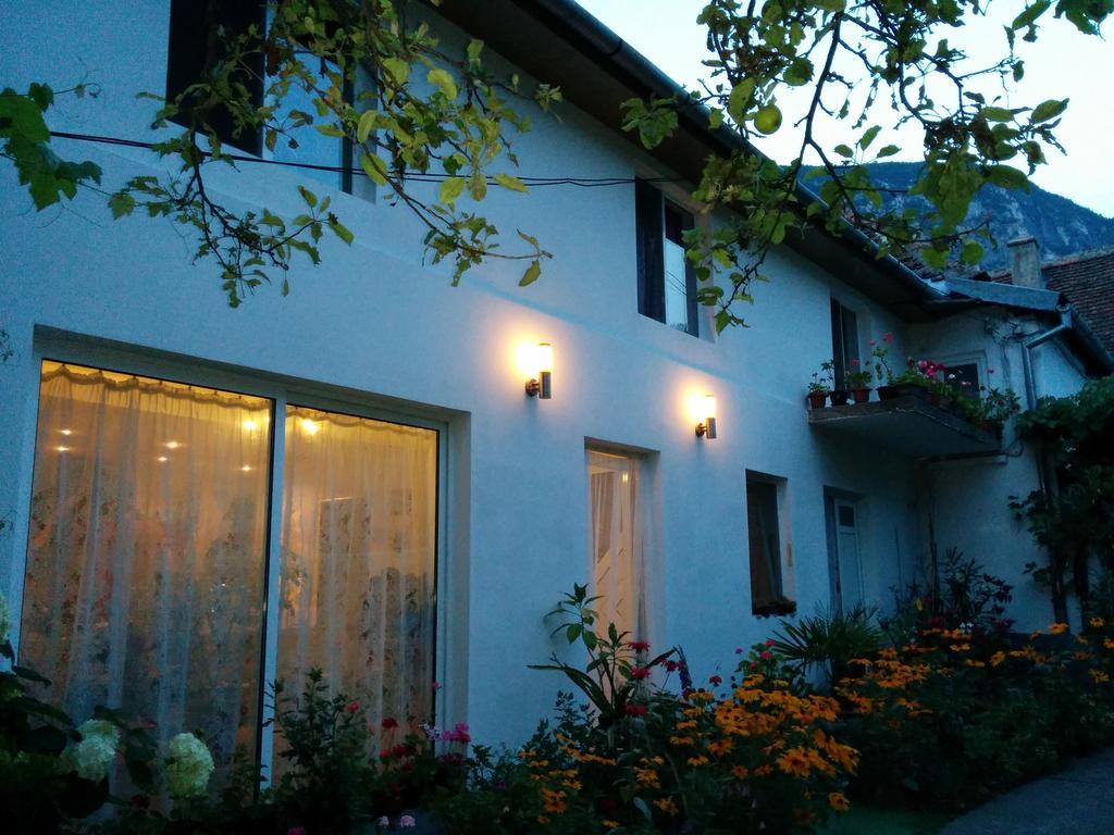 Pension Casa Anadam Băile Herculane المظهر الخارجي الصورة