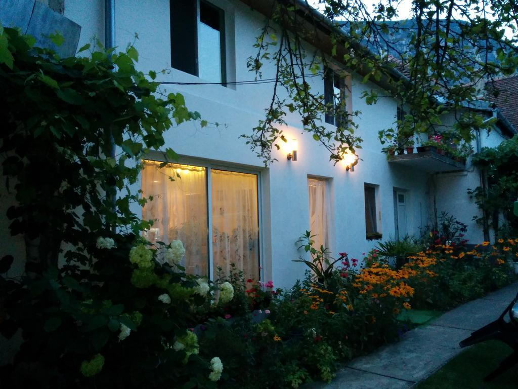 Pension Casa Anadam Băile Herculane المظهر الخارجي الصورة