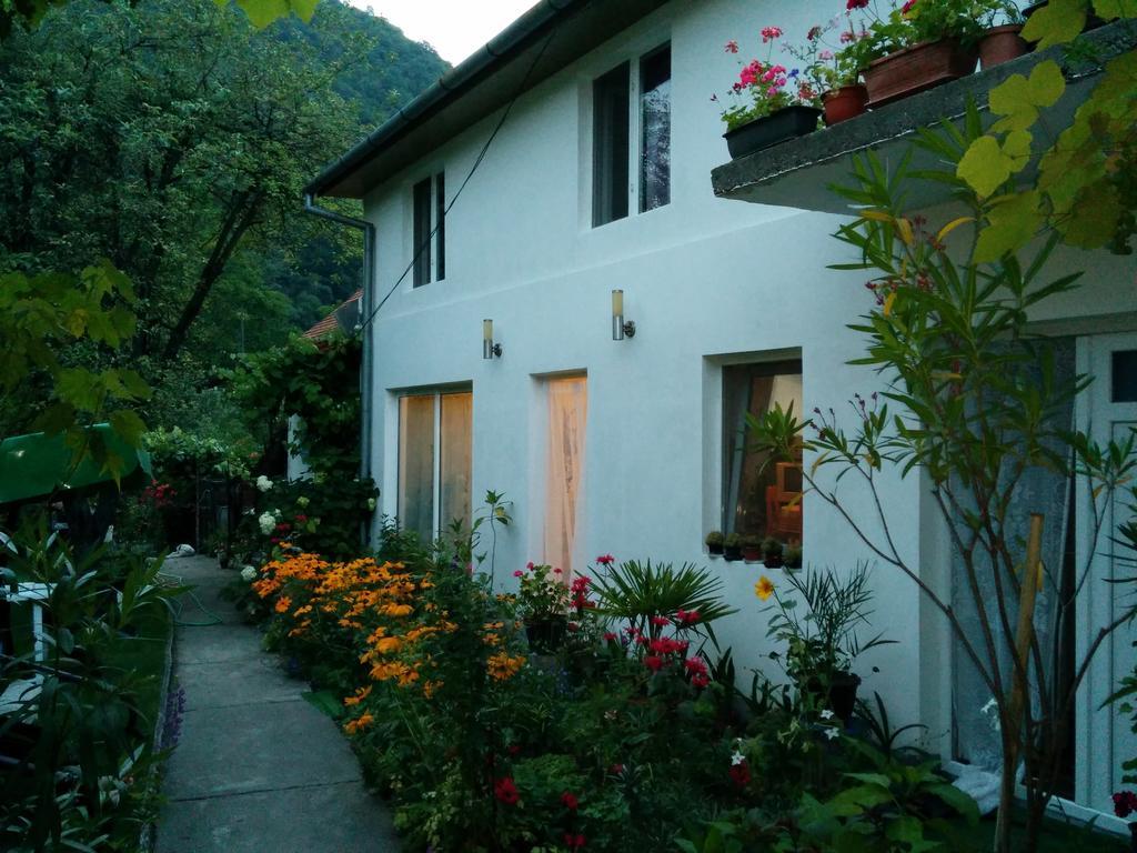 Pension Casa Anadam Băile Herculane المظهر الخارجي الصورة